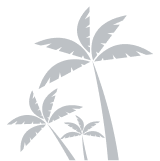 Dive into the vibrant Hyva community and gain exclusive insights