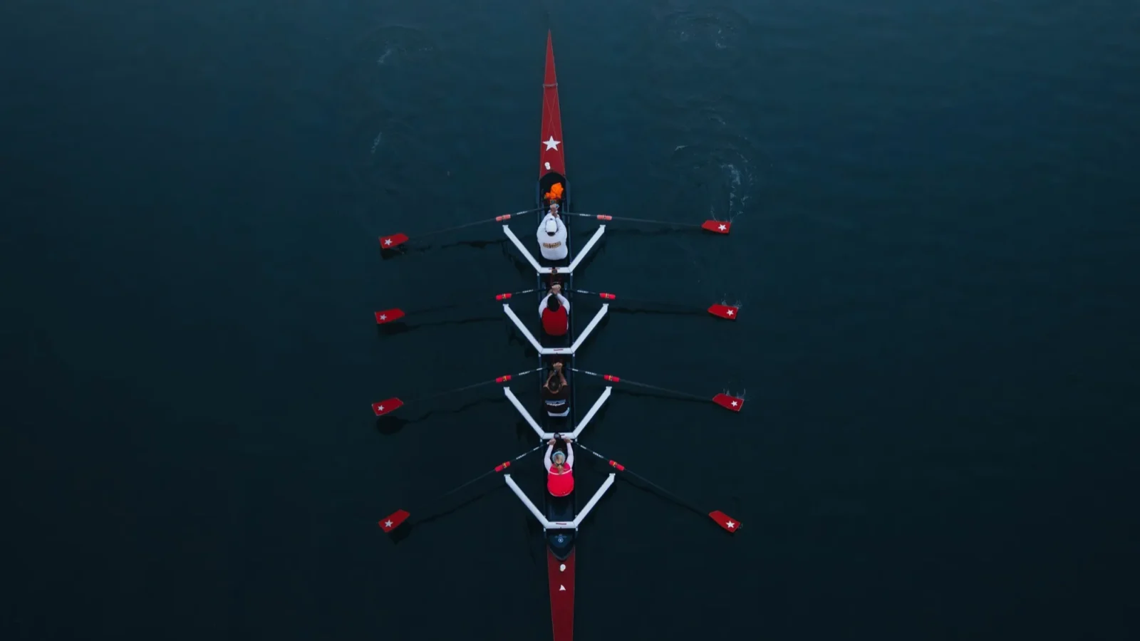 Experience the WAM difference