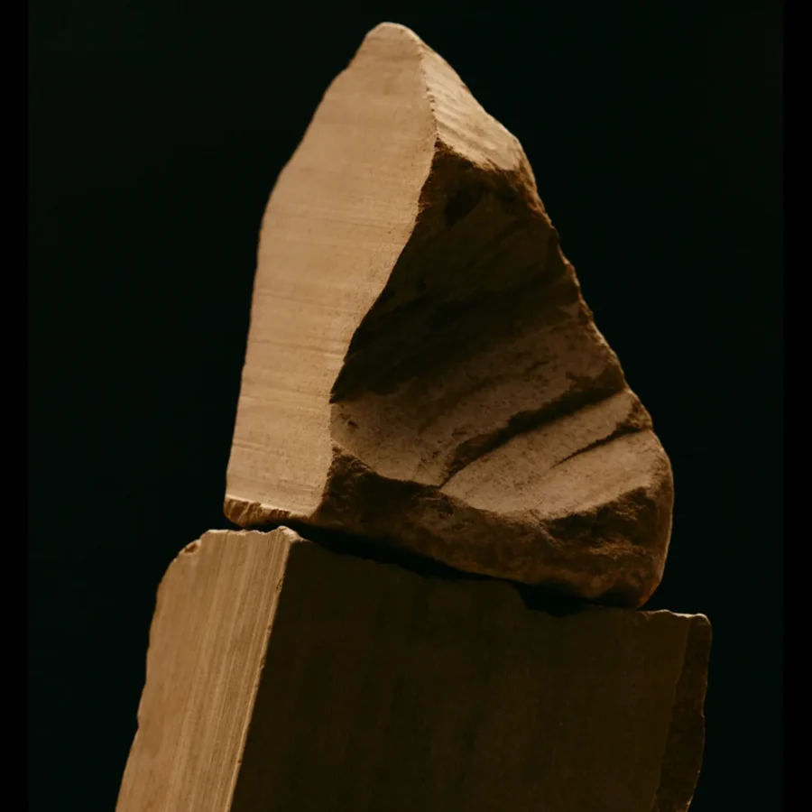 A Step-By-Step Guide to Structuring a Digital Marketing Plan