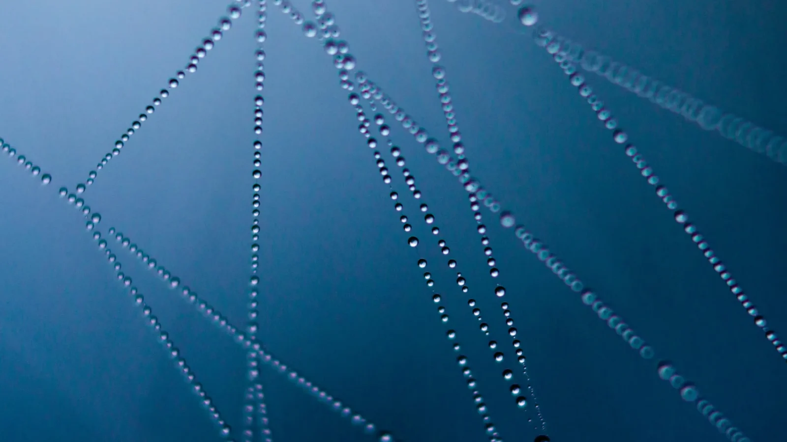 estrategias-de-digital-engagement