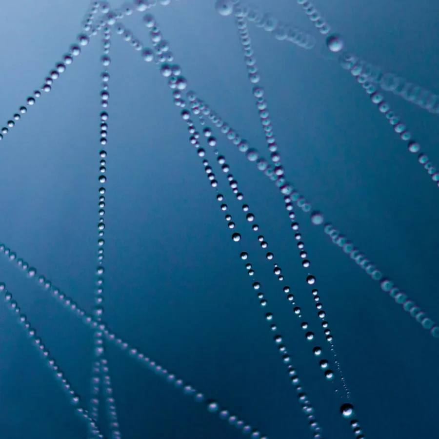 estrategias-de-digital-engagement