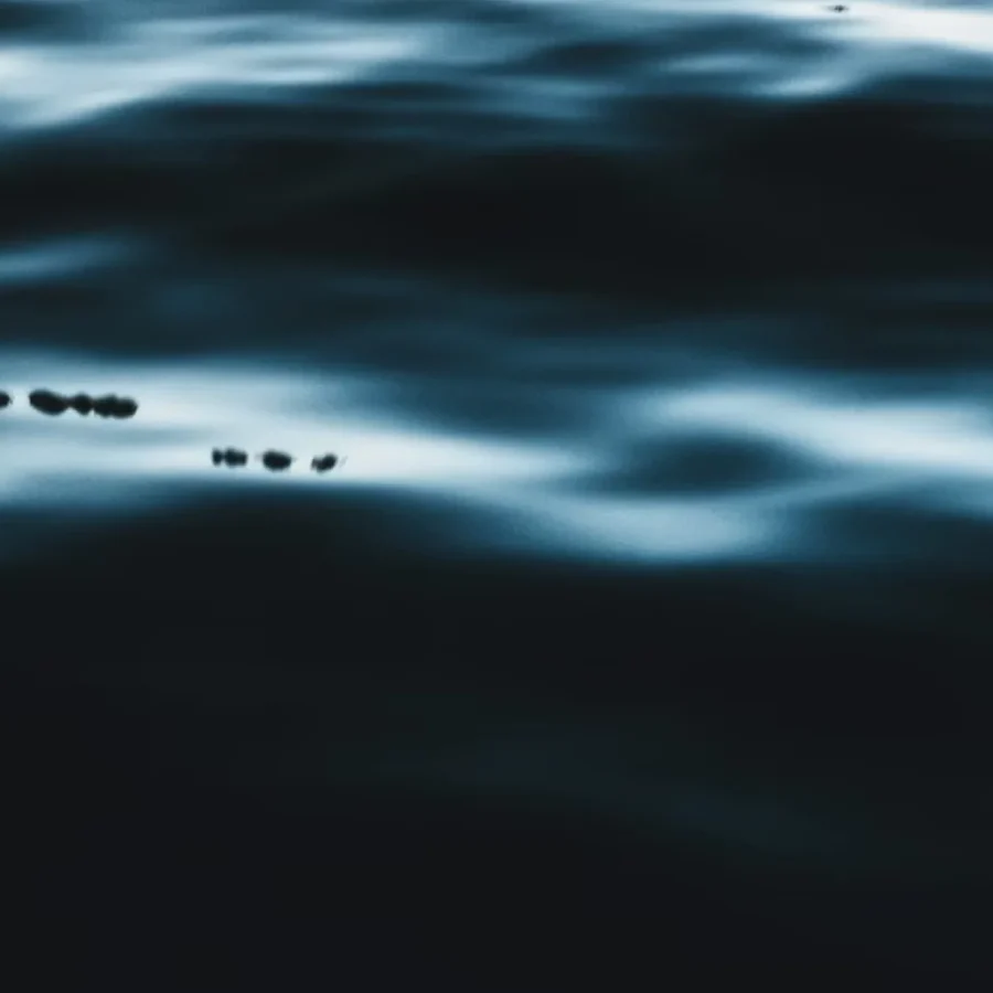 netflix-con-anuncios-la-nueva-era-de-la-publicidad-programatica