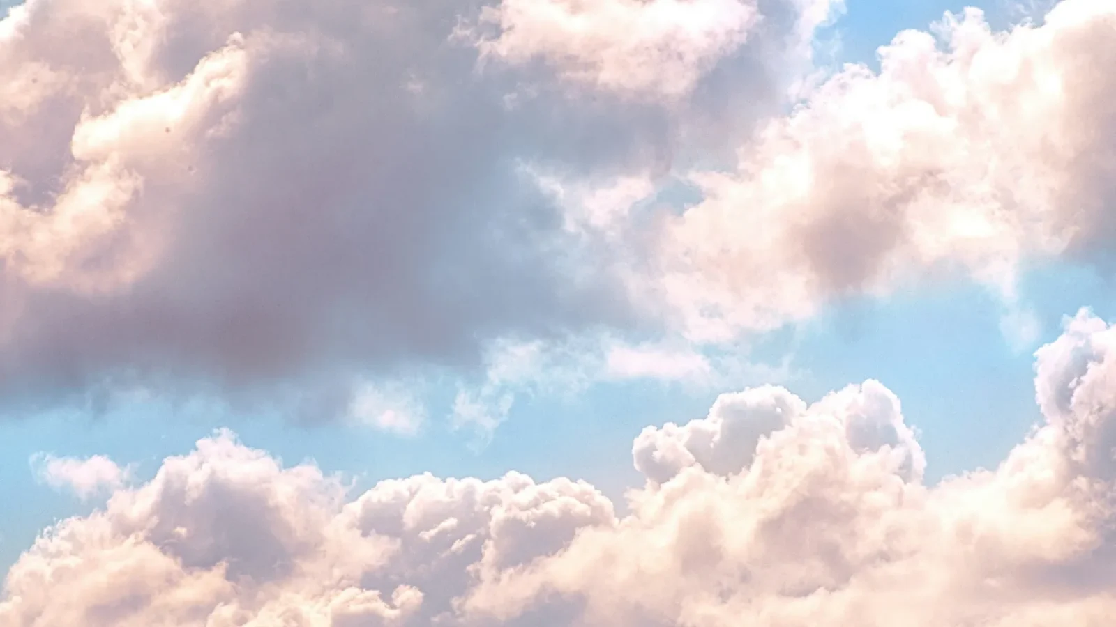 salesforce-customer-360