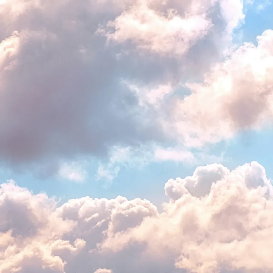 salesforce-customer-360