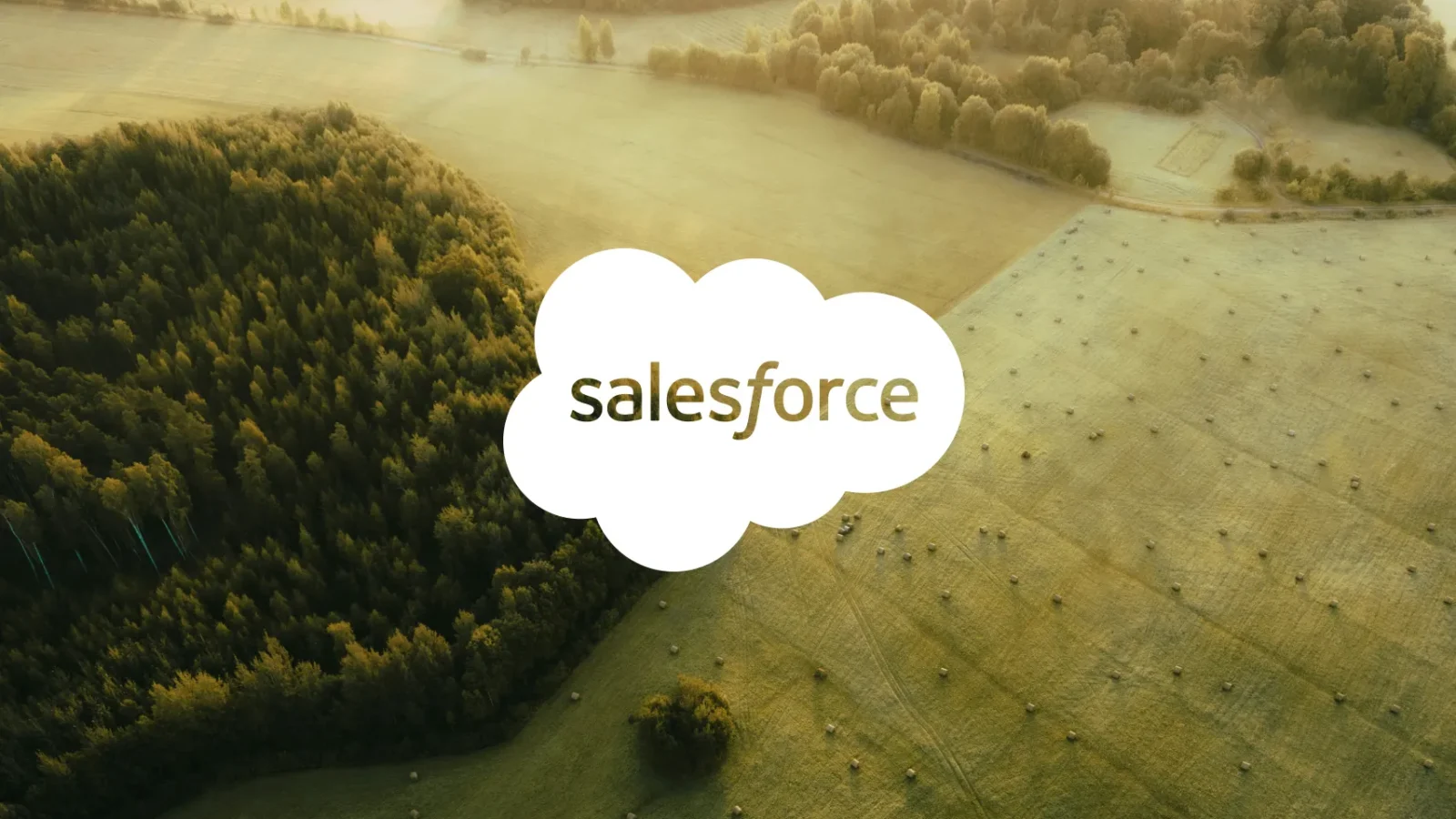 salesforce-field-service-guide