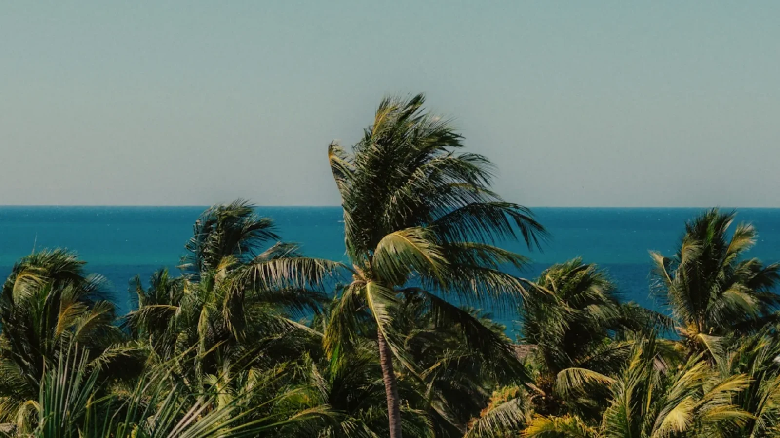 trends-factors-tourism-marketing