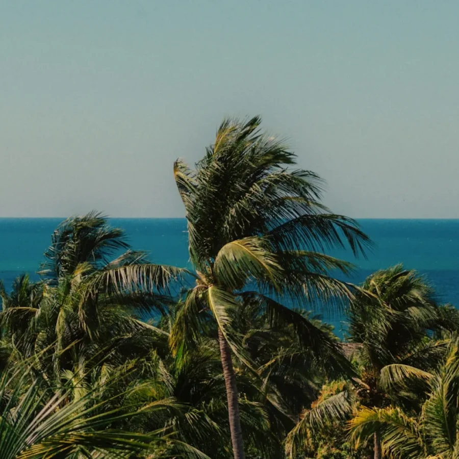 trends-factors-tourism-marketing