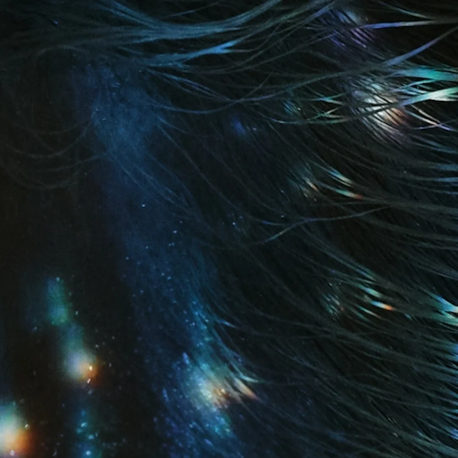 WAM-COMMS-WebP-Instant CheckOut 30.03