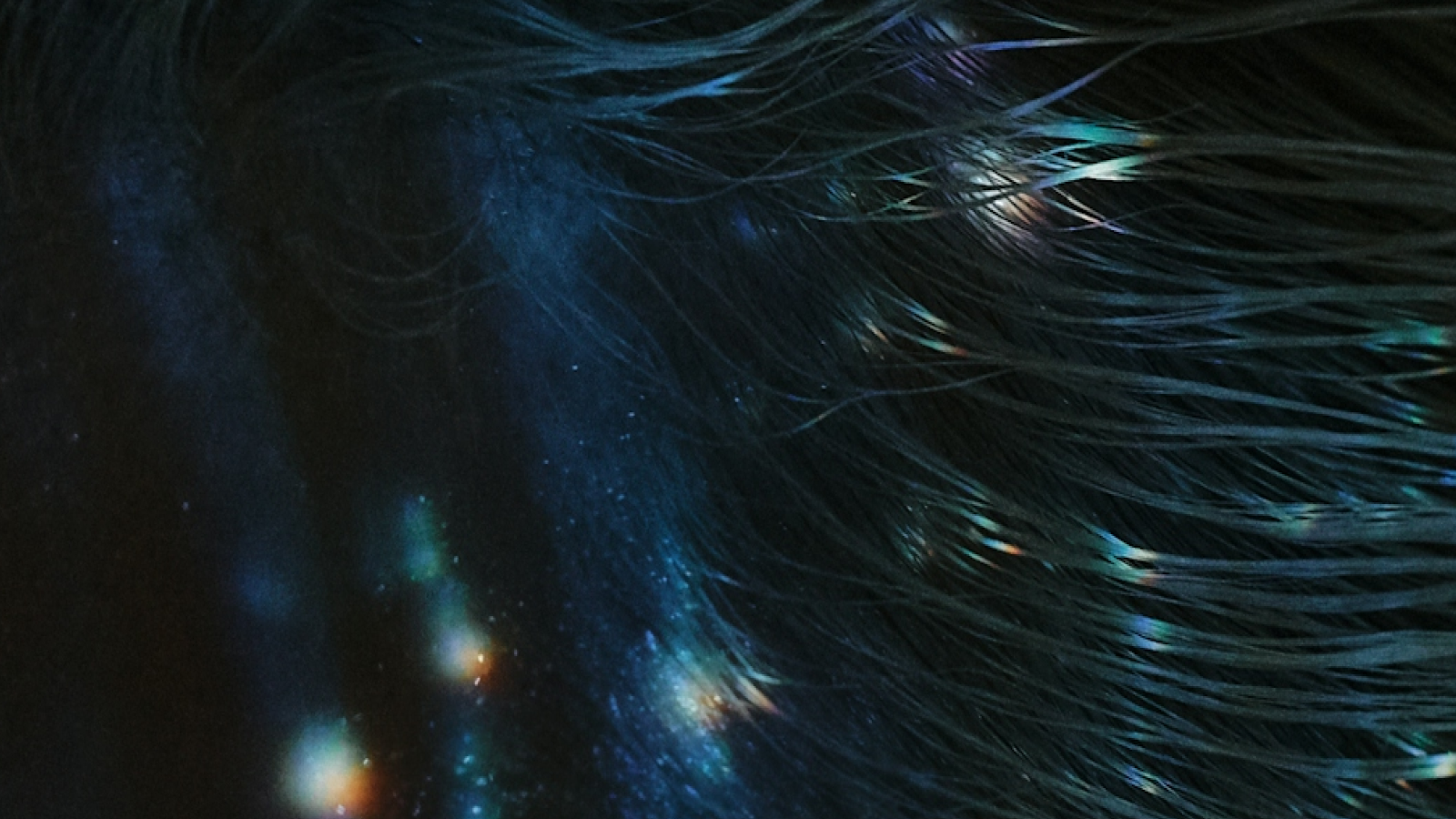 WAM-COMMS-WebP-Instant CheckOut 30.03